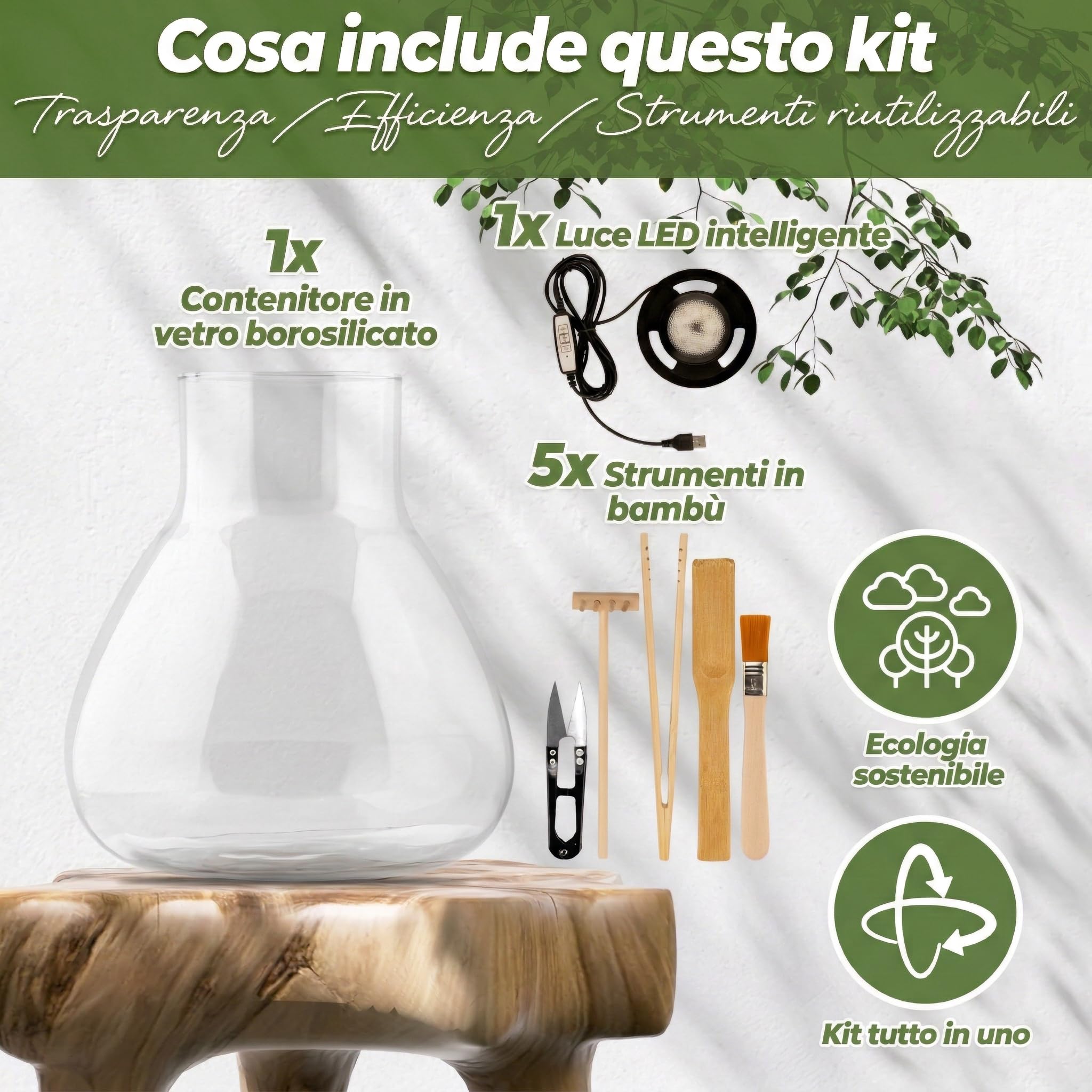 Kit terrario per piante Kit di strumenti contenitore in Borosilicato & luce LED intelligente