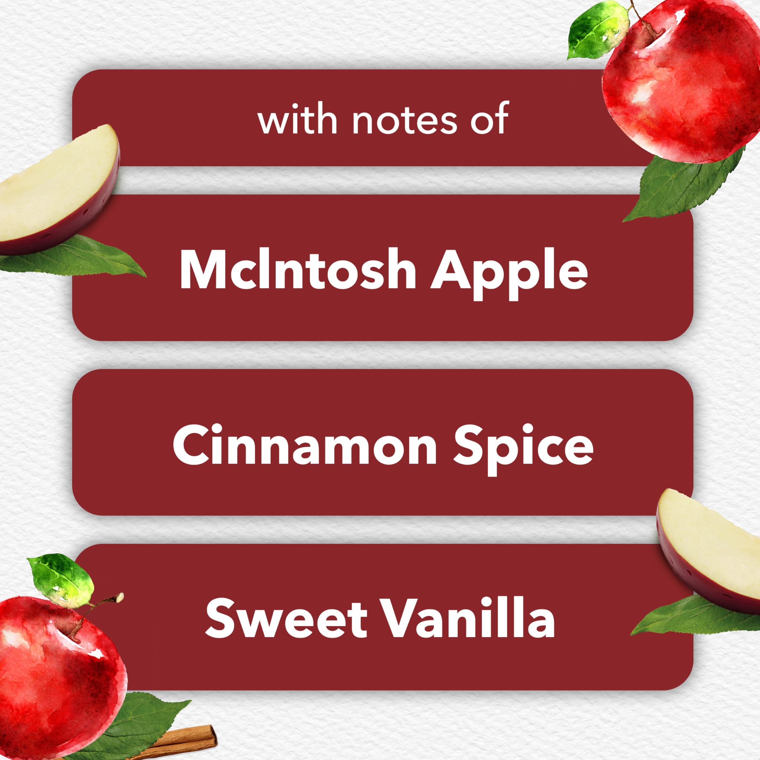 Apple Cinnamon Air Freshener Refills, 5 Count O64560