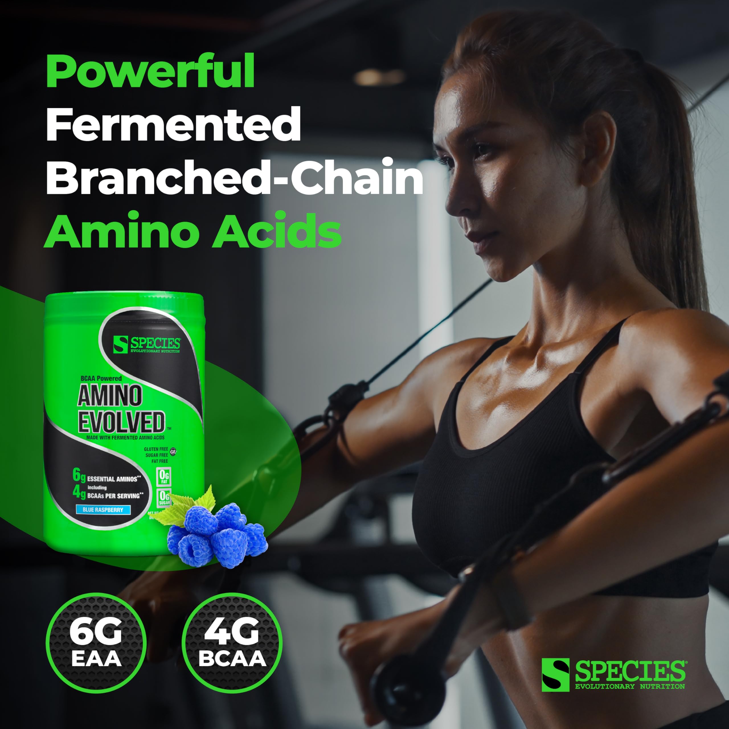 Buy Species Nutrition Amino Evolved EAA & BCAA Powder, Fermented Amino