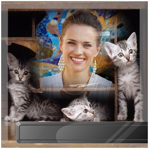 Quadros de pequenos animais pequenos