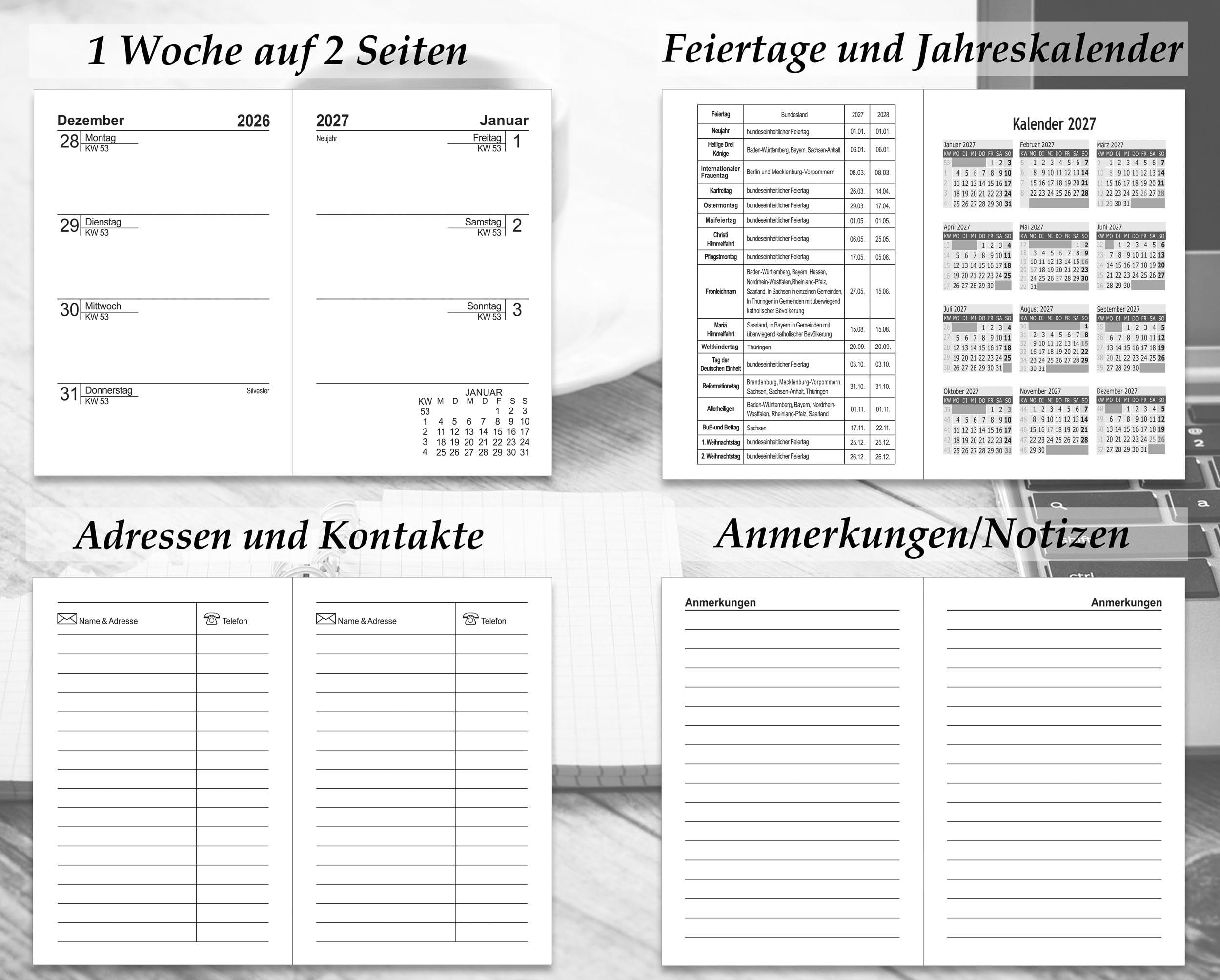 View 5