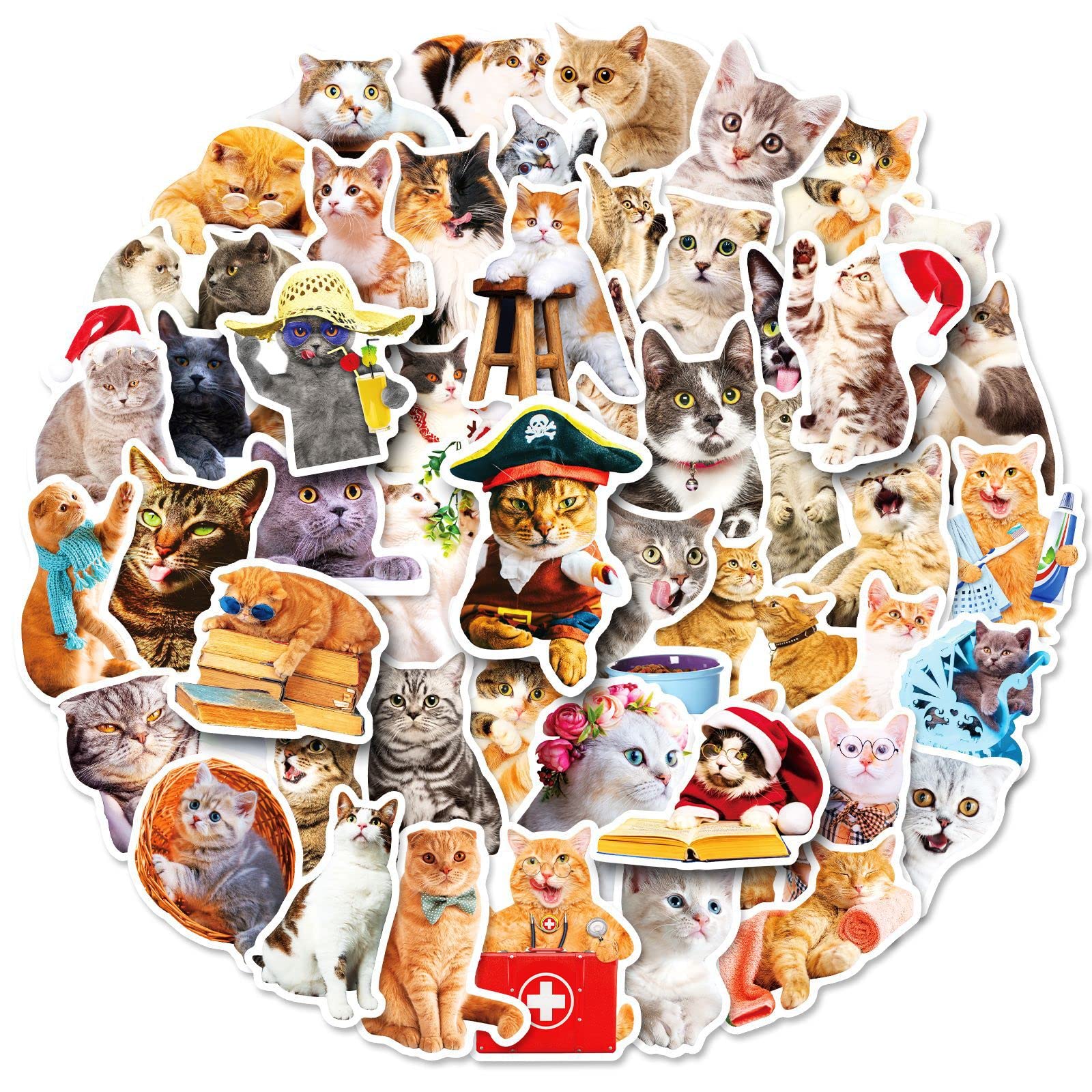 Cat Stickers 50PCS,Kawaii Stickers,Cute Cat Stickers Pack,Funny Stickers for Adults,Waterproof and Vinyl Stickers for Water Bottle,Laptop,Phone,Skateboard