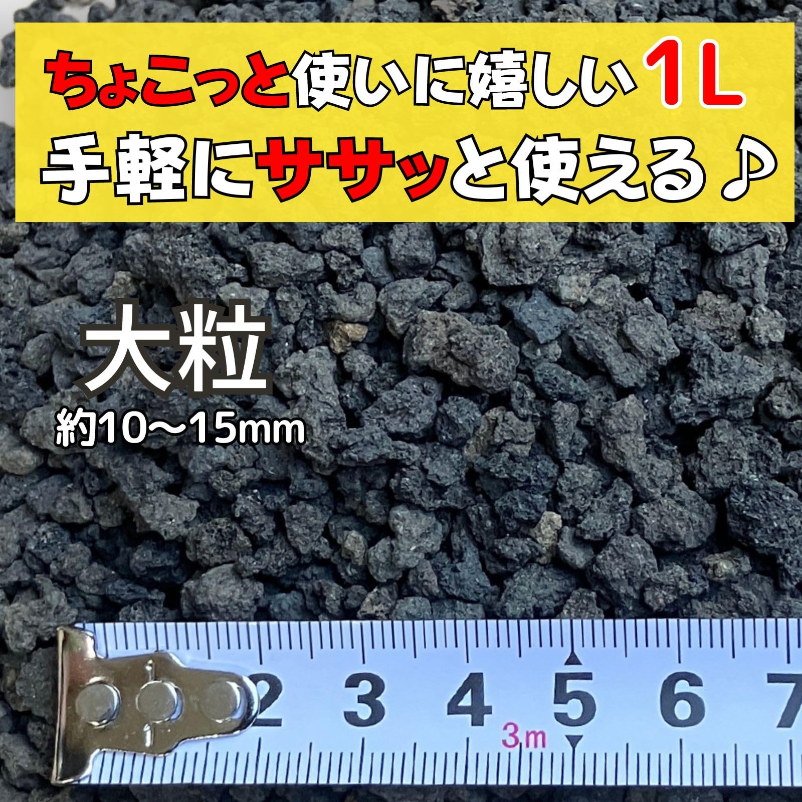 アガベ 実生　まさしさん専用 アガベ実生の成長記録📝｜🍀GreenSnap（グリーンスナップ）