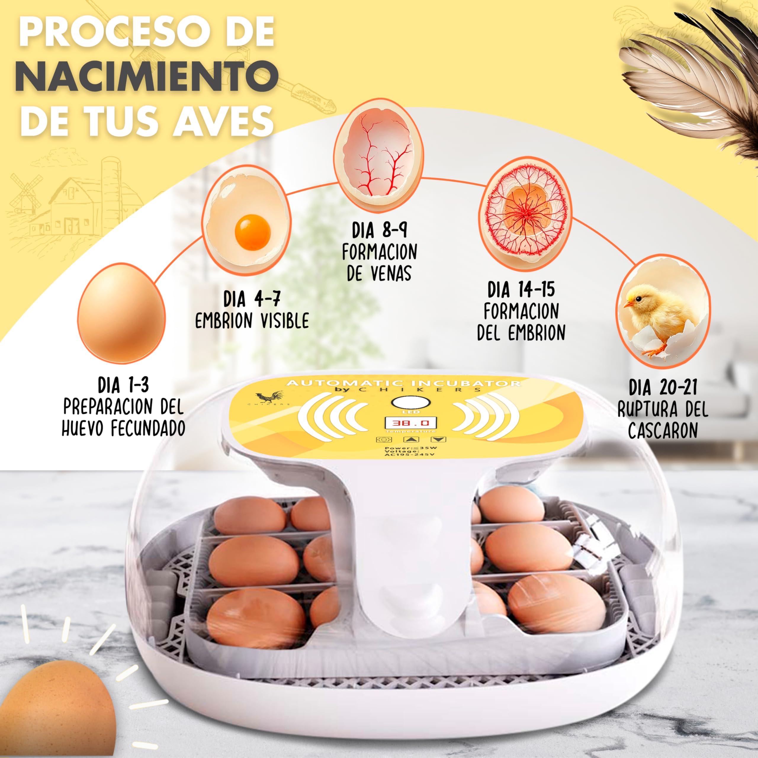 Incubadora Automática de Huevos Gallina, Aves y Pollos | para 12-35 Huevos | Rotación Automática y Control de Temperatura | Incubadora para Corrales y Uso doméstico | Nuevo Modelo 2025