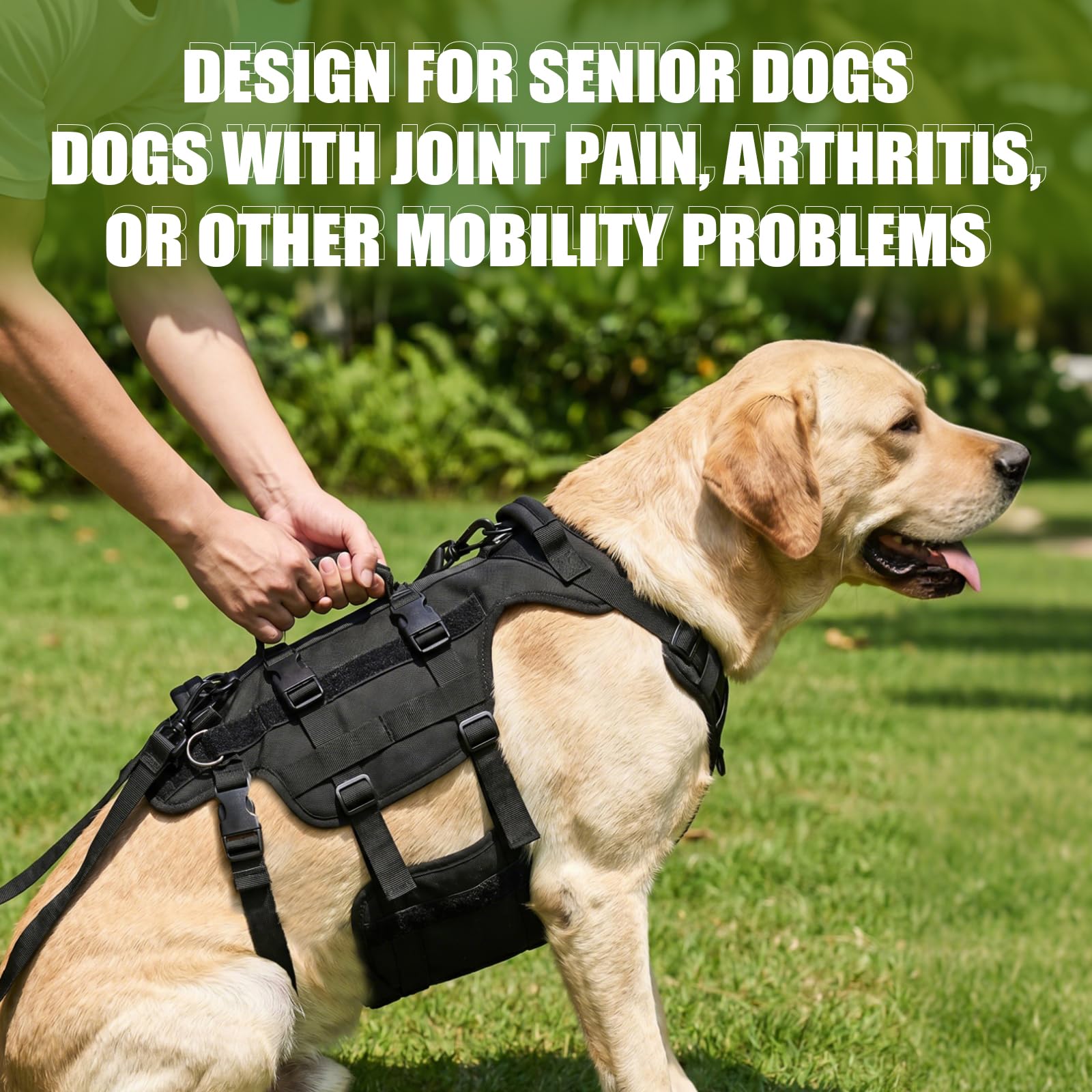 Arnés para Perros, Ajustable con 3 Asas, Ayuda para pasear a Perros, arnés para adiestramiento, Paseos y Actividades al Aire Libre, Negro, Talla M