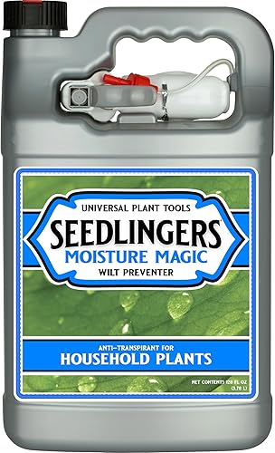 Moisturize Recarga de galón