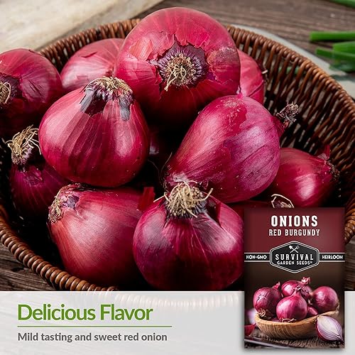 Miniatura 3 de Survival Garden Seeds - Semilla de cebolla roja borgoña para plantar - 2 paquetes con instrucciones para plantar y cultivar deliciosas cebollas