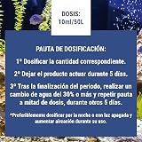 Ver la foto 6