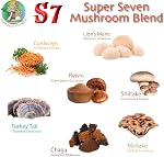 Super 7 mushroom extract powder - Fantastic Fungi® - Lion's Mane, Reishi, Turkey Tail, Cordyceps, Shiitake, Chaga and Maitake (36 Grams)
