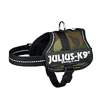 Julius-K9, Pettorina K9