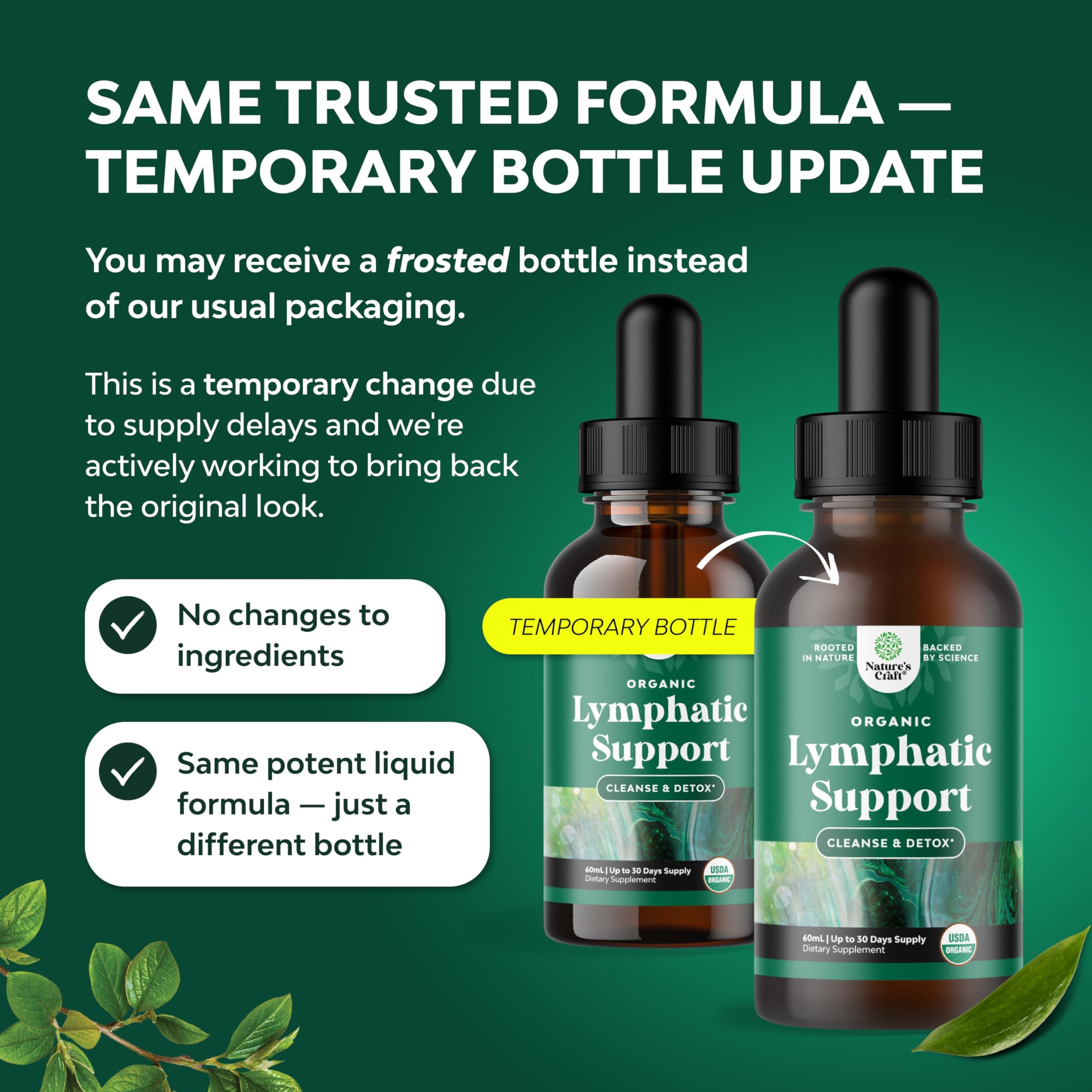 Organic Lymphatic Drainage Drops - Organic Cleavers & Echinacea - 2 Fl Oz — Amazon image 2