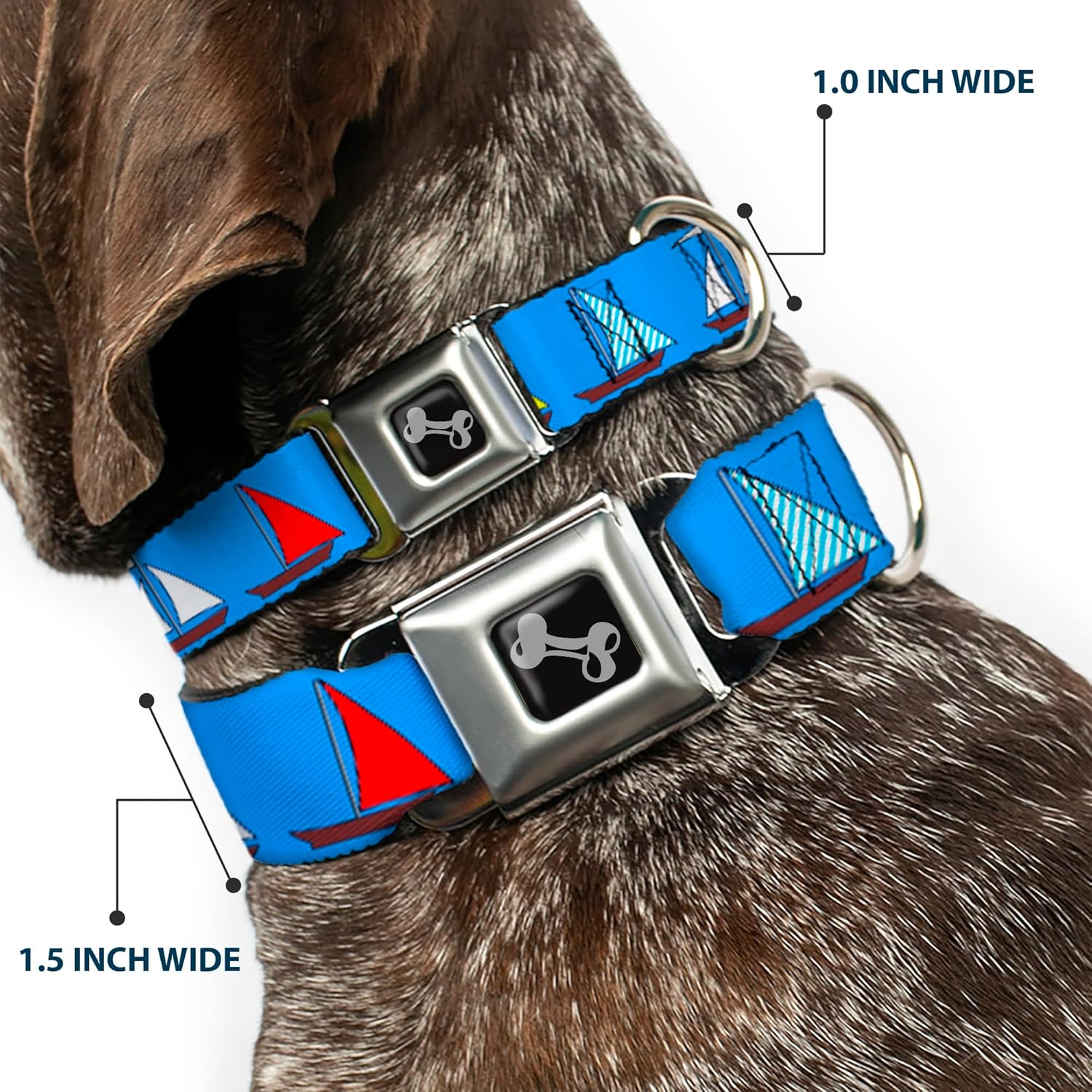 Buckle-Down Dog Collar Seatbelt Buckle Sailboats Blue, Multicolor, 1" Wide - Fits 15-26" Neck - Large (DC-W31997-L)
