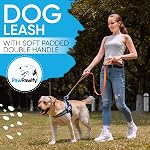 Heavy Duty Long Nylon Dog Leash with Two Padded Handles - Automatic Lock Collar Clasp and Comfortable Traffic Control Handle - Patterned Pet Lead for Small, Medium, and Large Breeds