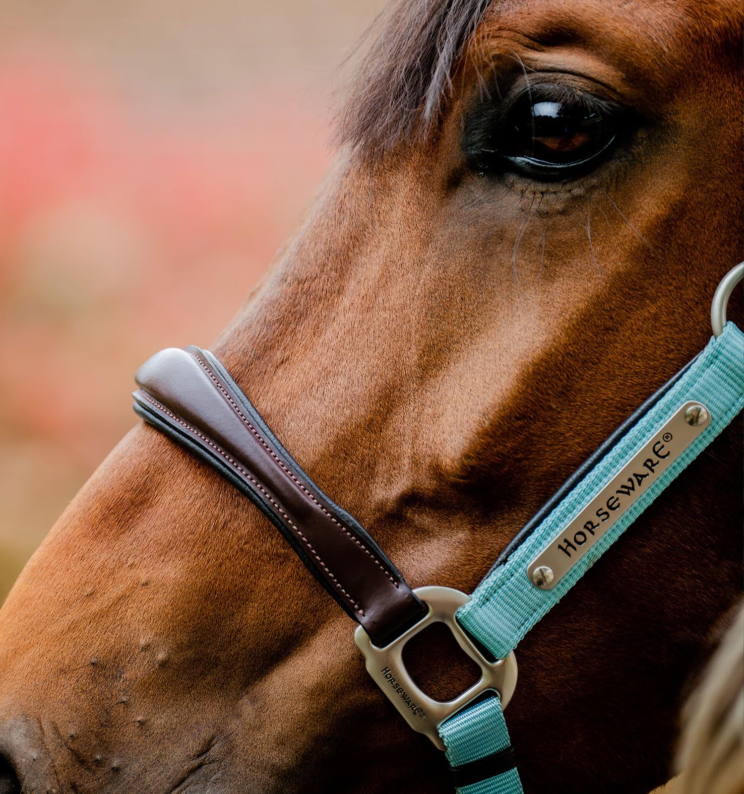 Horseware® Signature Wettkampfhalfter