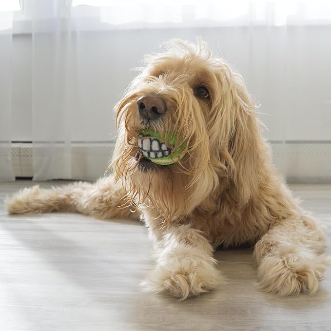 KONG Grinz Variety Packs - Pelotas Duraderas con Dientes Grinz para Perro (Mediano, 6 Unidades) miniatura 2