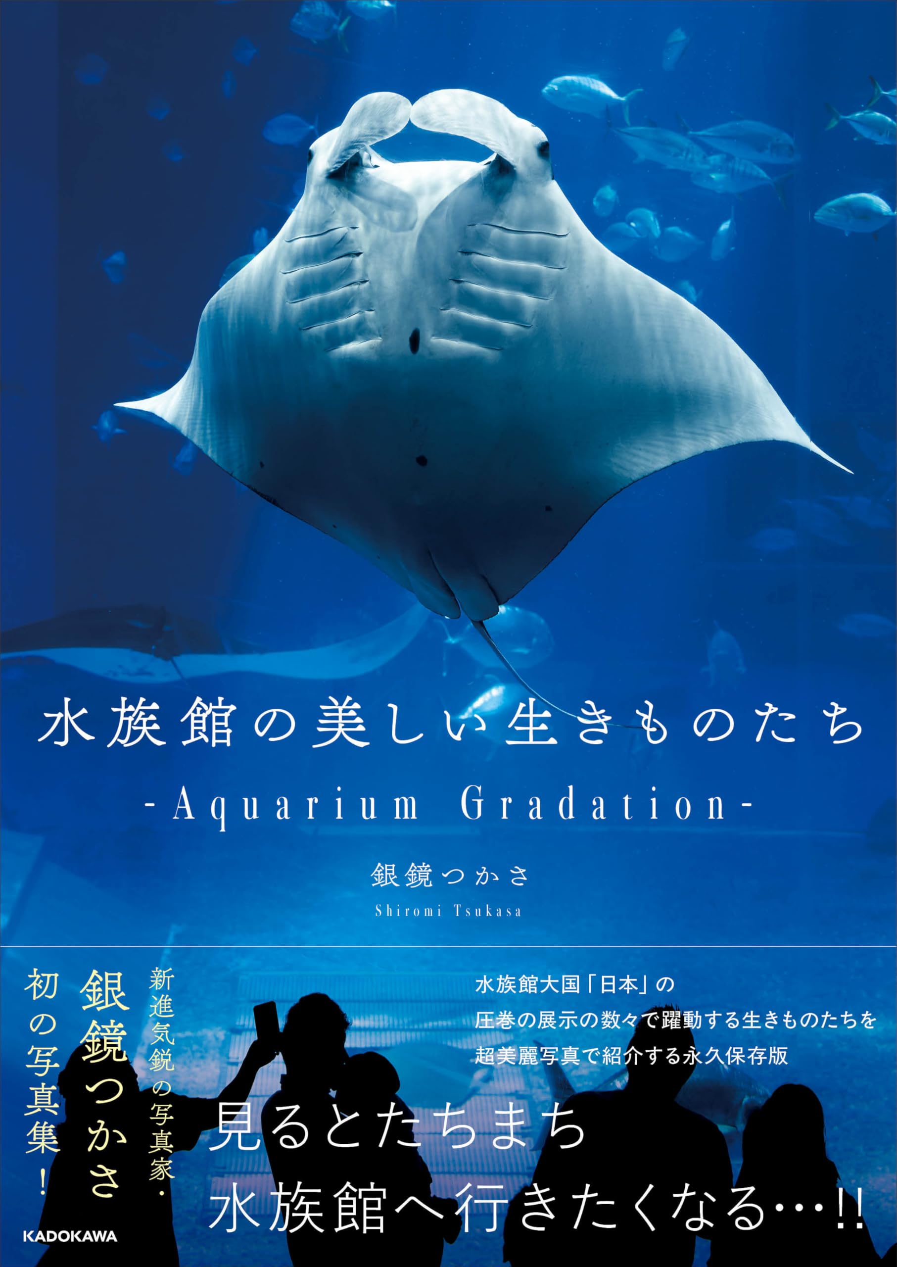 Amazon.co.jp 限定】水族館の美しい生きものたち―Aquarium Gradation