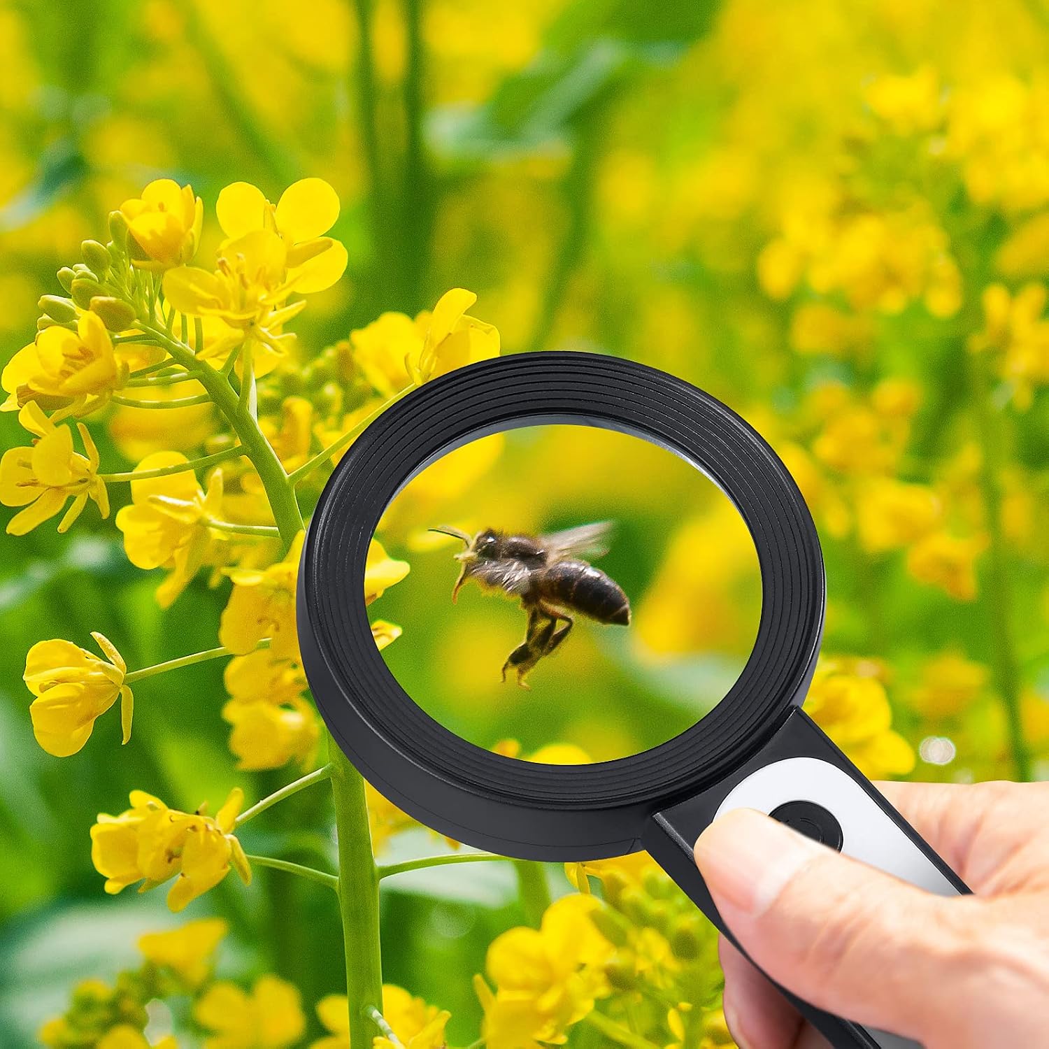 Magnifying Glass with Light for Rreading - Large Handheld Lighted Magnifier Glasses 18 LED 3 Modes Illuminated Magnify Lens for Seniors Rreading Book Macular Degeneration Coins Jewelry Hobby Gifts image 2