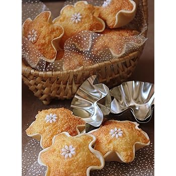 Lapetitecaverne Set 9 Moules Inox Dziriettes 12 Plis Gateaux