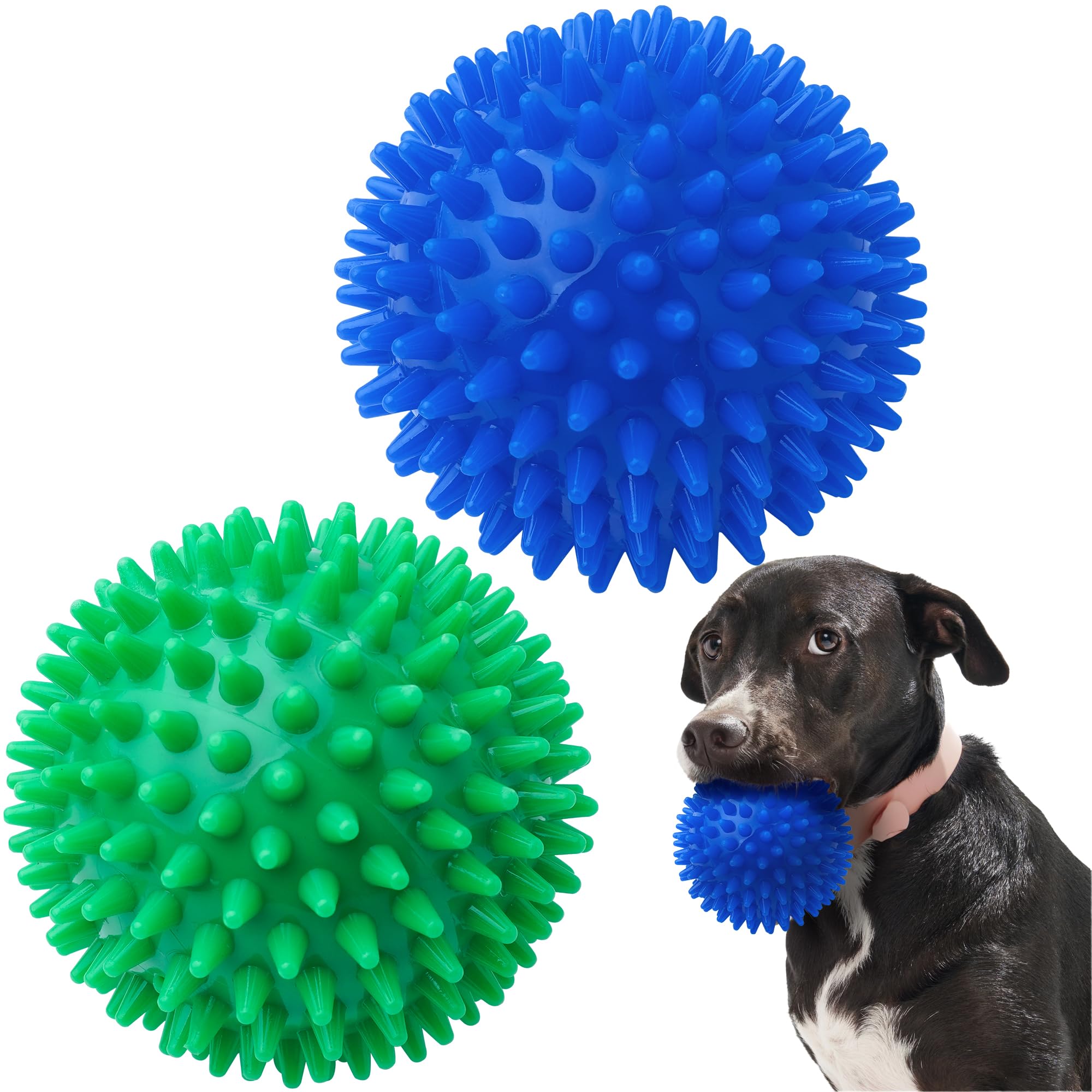 Balles couineuses pour chiens et jouet à mâcher robuste pour grand chiot
