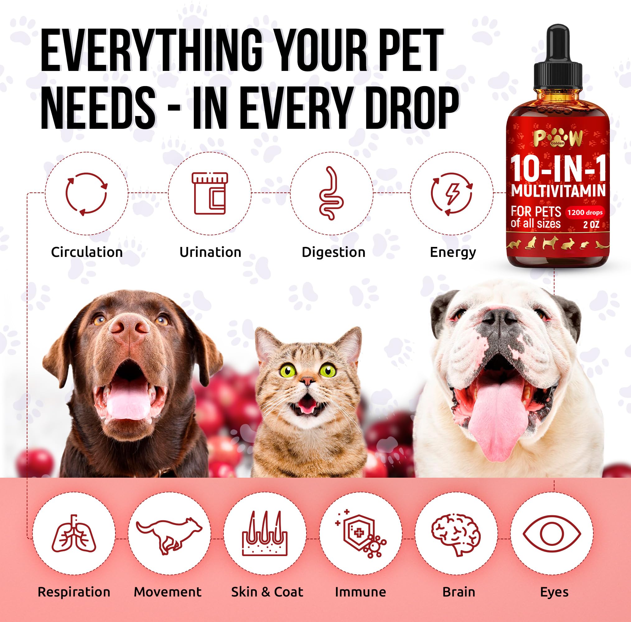 Liquid Multivitamin for Dogs with Glucosamine – Help with Allergies & UTIs – Dog Vitamins and Supplements – Cat Multivitamin for Hips & Joints – B, C & D3 for Coat Shining & Digestion – 2 oz — Amazon image 3