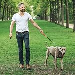 Feuille de chien pour chiens jusqu'à 250 Pound, lourd laisse de service faite de corde de fil enduite pour les chiens grands et moyens, câble dog tie Out avec poignée en silicone doux (Noir, 5FT)