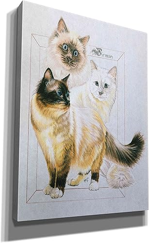 Miniatura 2 de 'Birman' by Barbara Keith, Canvas Wall Art, 40"x54"