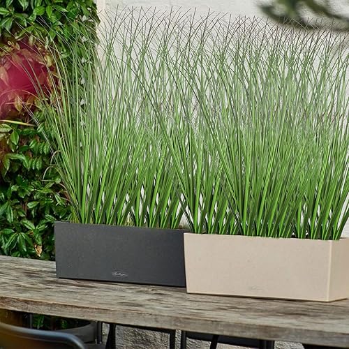 Miniatura 6 de FOIMAS 12 plantas de césped artificial, 19.68 pulgadas, arbustos sintéticos, tallos verdes de trigo para decoración del hogar en interiores y