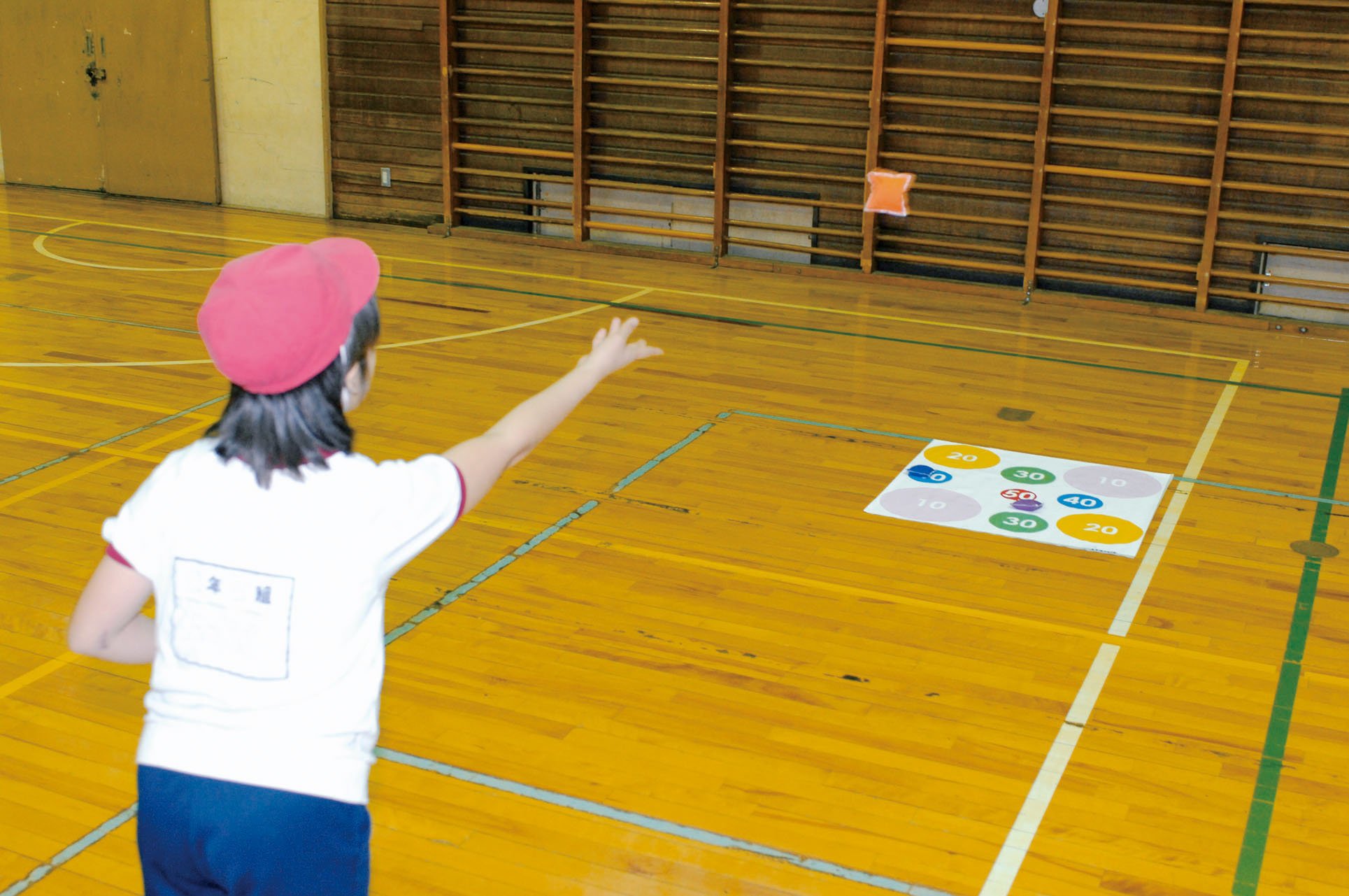 TOEI Light (Toei Light) Target Play Sheet Darts B-3597C