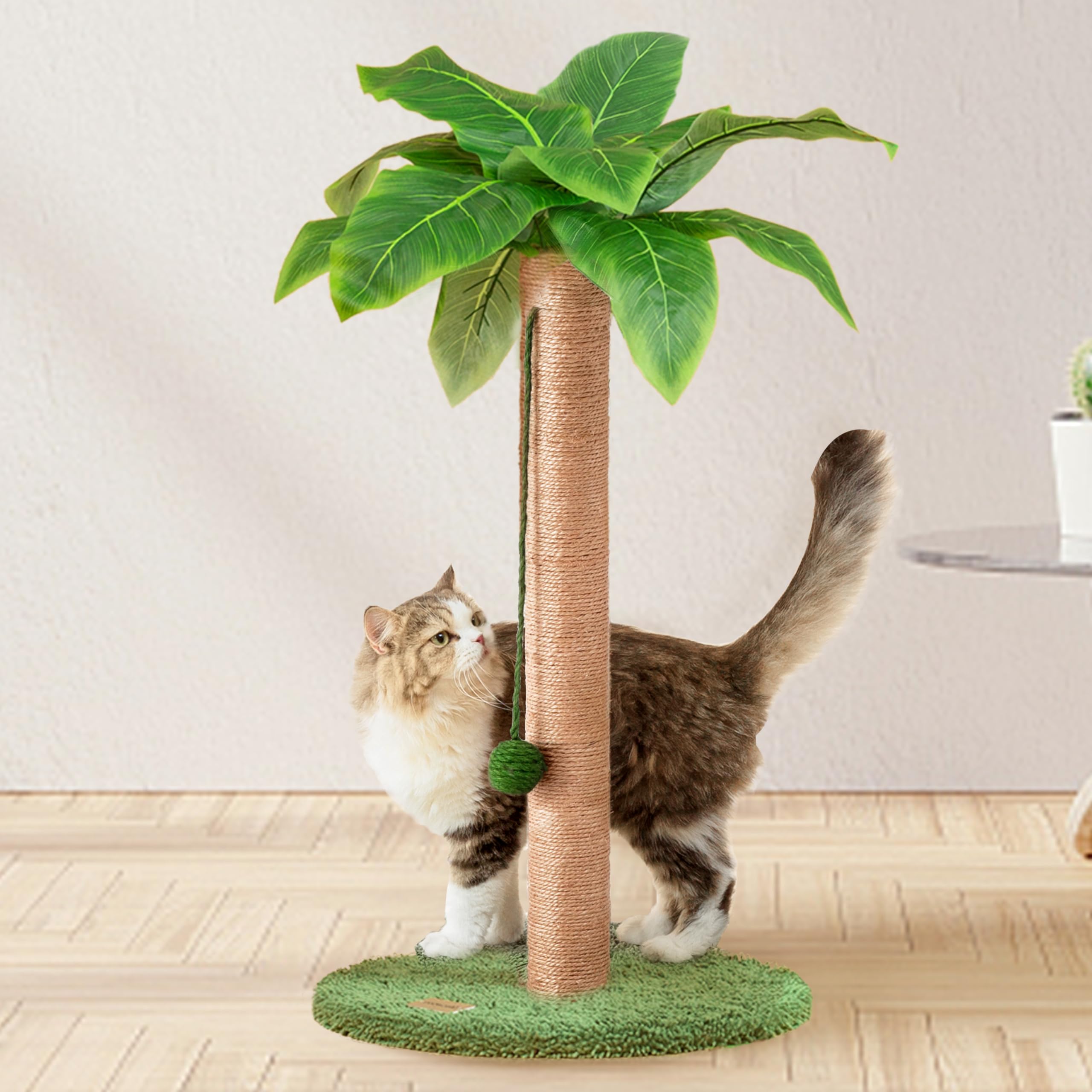 MEOWOOU Tiragraffi per Gatti Alto 60 cm con Corda in Sisal Da Interno Adulti Graffiatoio in Sisal Carino per Gattini Verde Palo