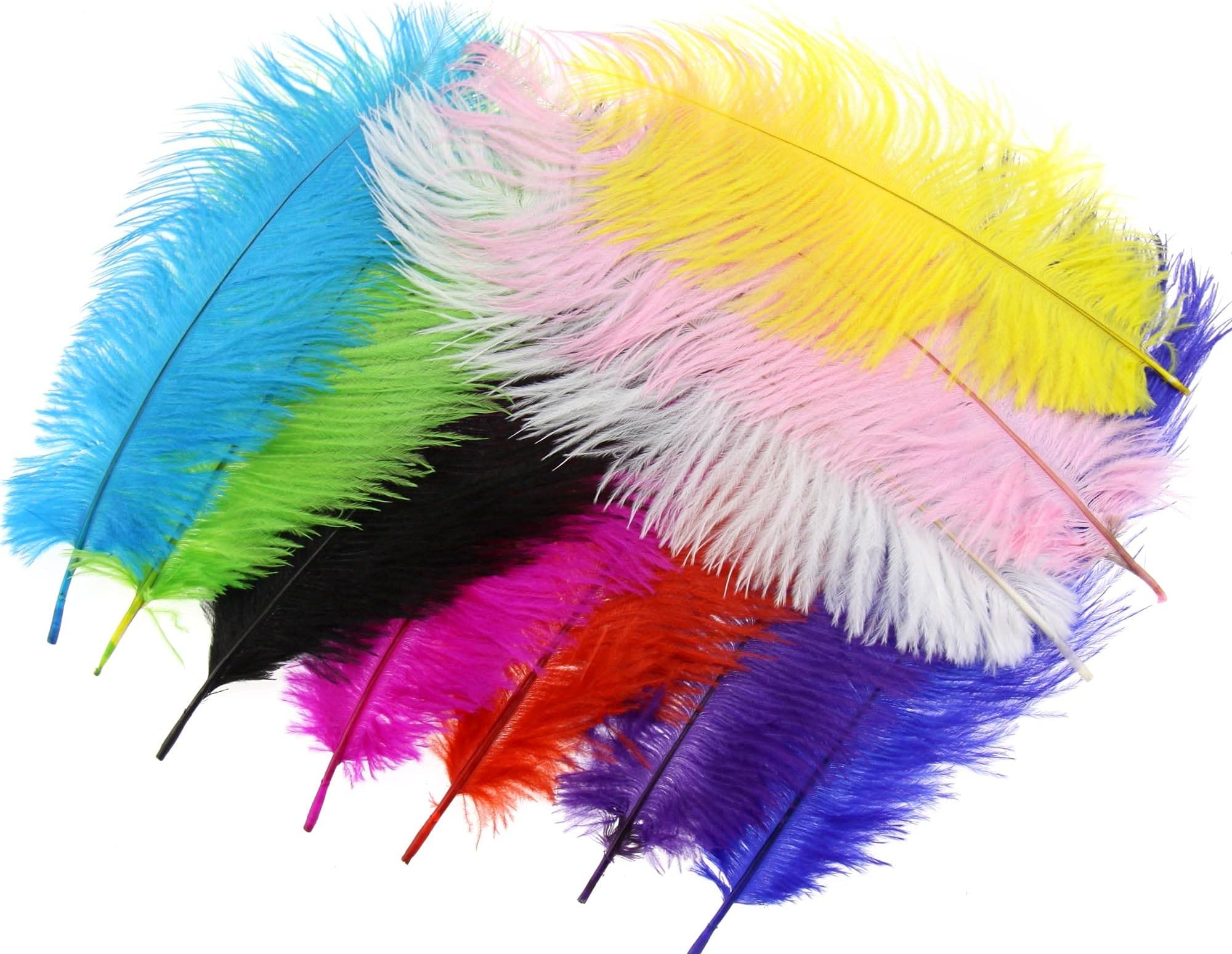 10pcs Fluffy Ostrich Artificial Feathers Arts Crafts Mixed Colors (4"-6" Length), DIY Decoration for Wedding Centerpieces, Festival Party