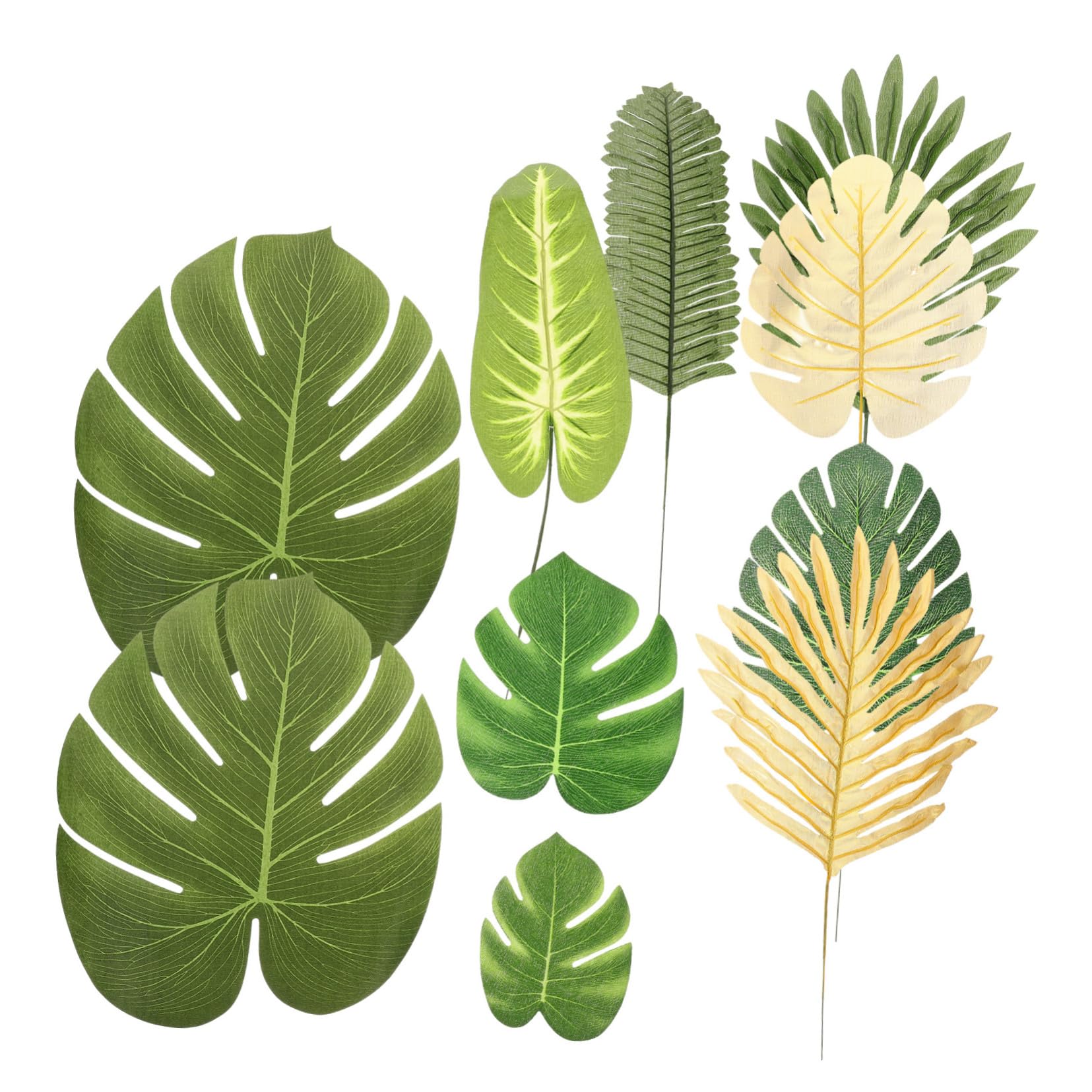 philodendron brasil standort Philodendron scandens Brasil - Sweetheart Plant | Hortology main image 0
