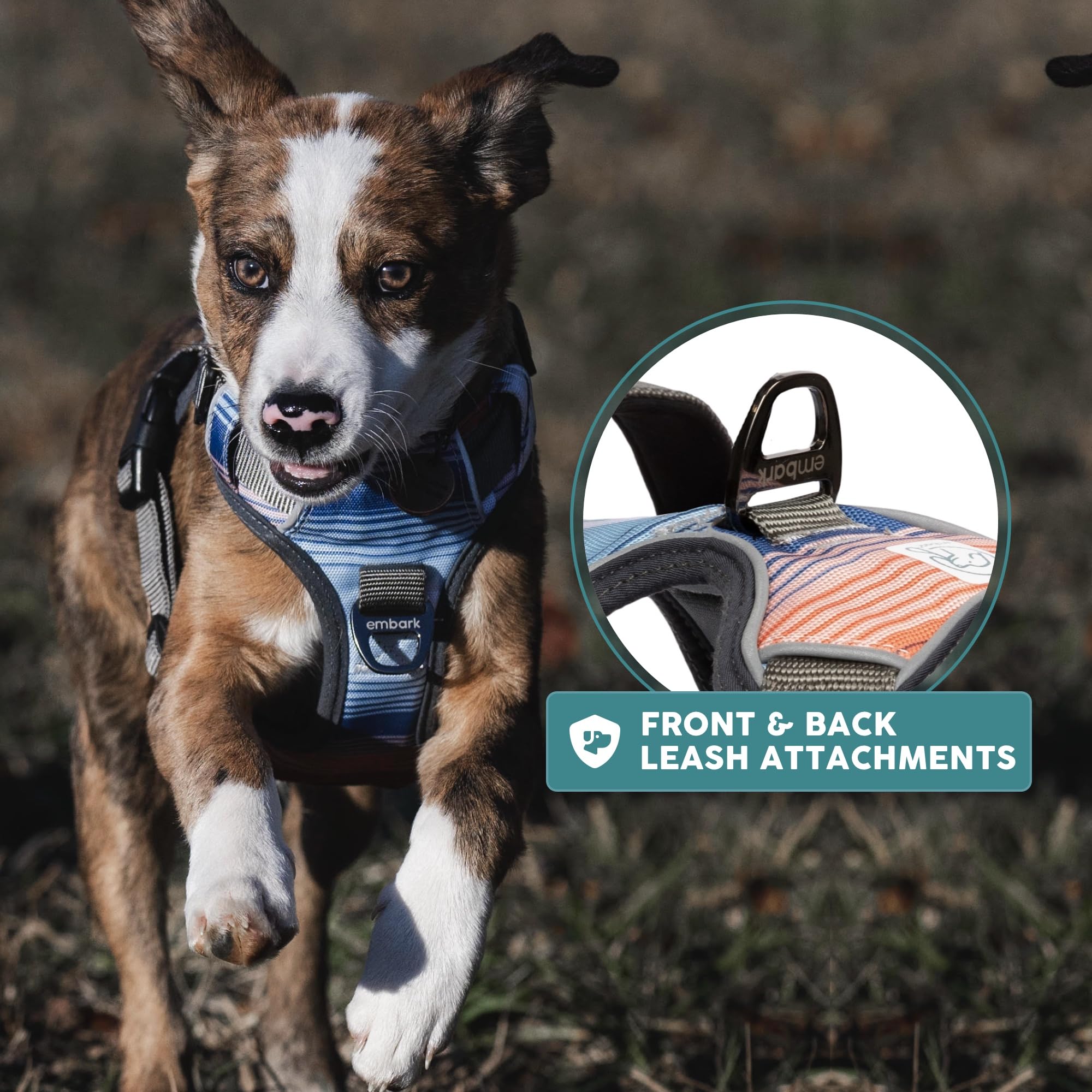 Embark Adventure - Arnés para perros pequeños, medianos y grandes, sin tirones, ribete reflectante, Oxford resistente, 2 clips de correa, mango forrado de gel, acolchado suave
