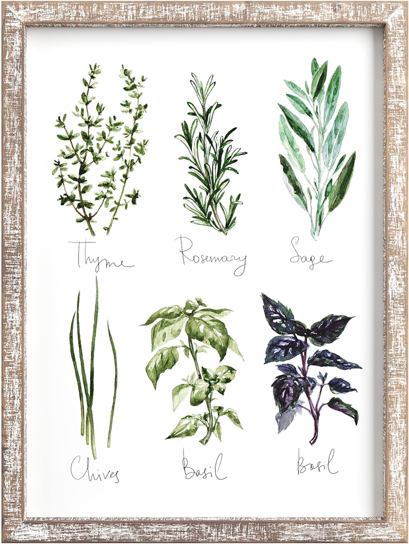 Barnyard DesignsKitchen Herbs and Spices Wall Art Decor Botanical Print Sign Rustic Country Farmhouse Wood Plaque Framed Home Wall Decor 12" x 16" (Herbs A, 1)