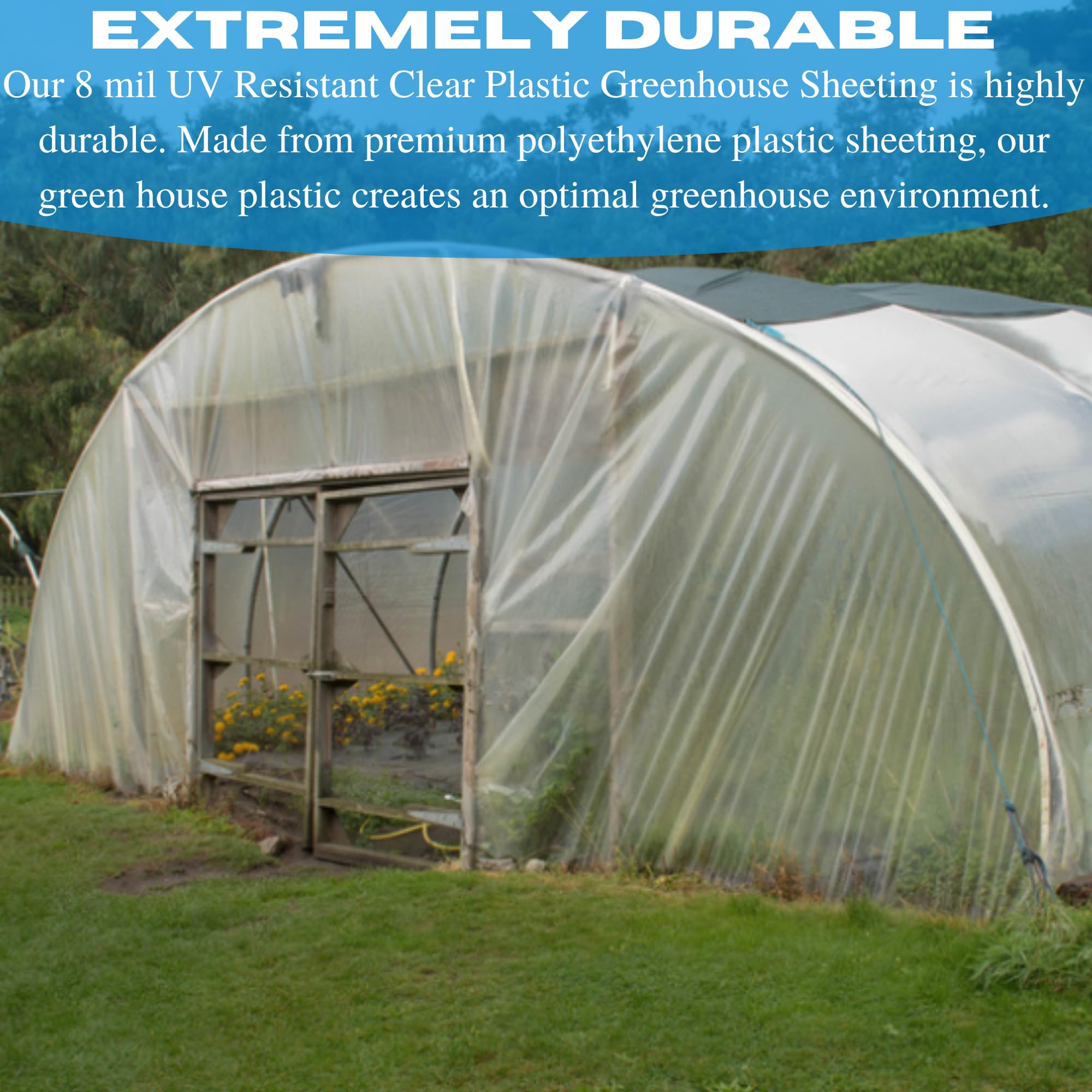 Farm Plastic Supply - Clear Greenhouse Plastic Sheeting - Ultra Durable - 8 mil - 4 Year UV Resistant Polyethylene Greenhouse Film for Gardening, Farming, Agriculture (20' x 40')