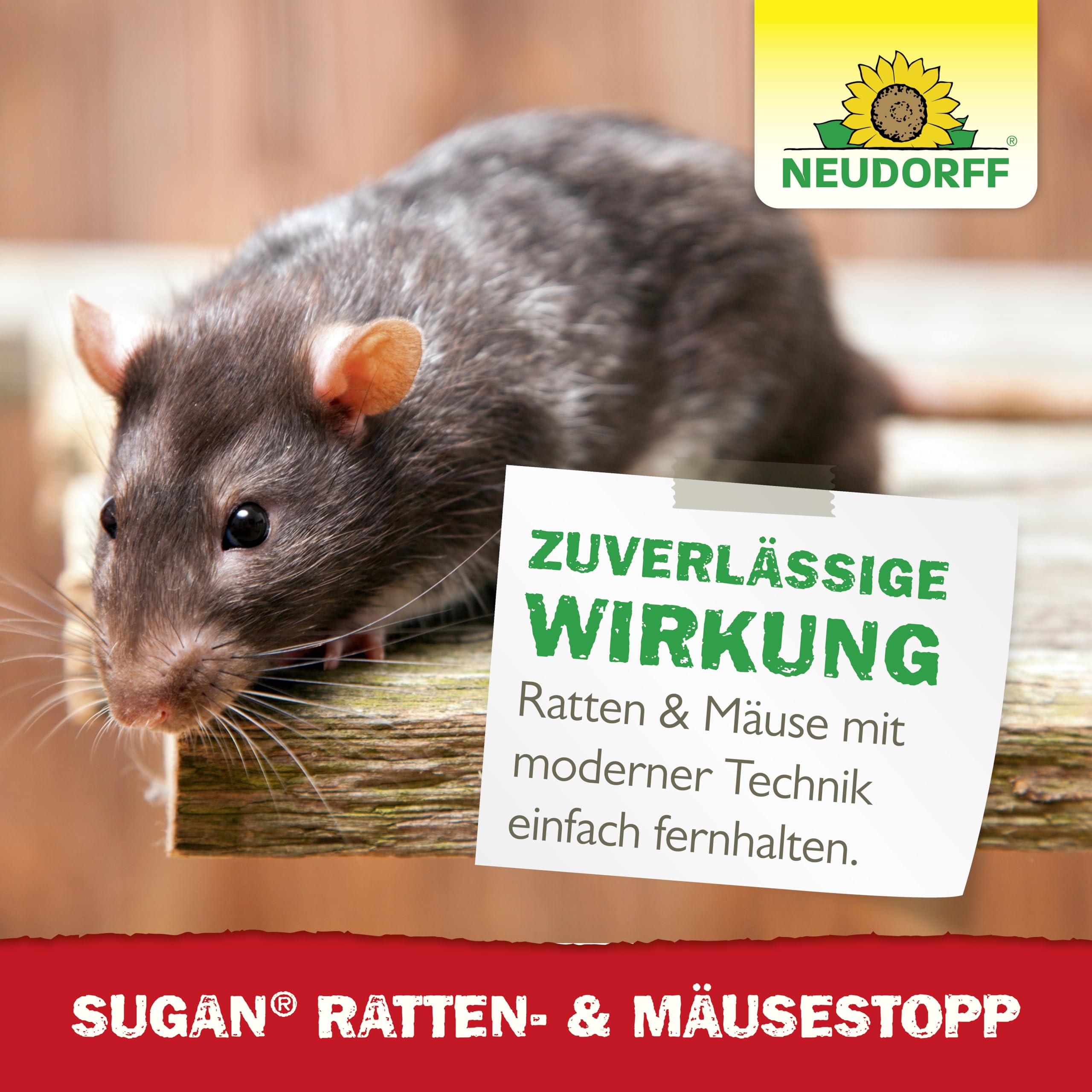 Neudorff Sugan Ratten- und MäuseStopp 30 m² - Ultraschall vertreibt Ratten und Mäuse sofort und dauerhaft aus Haus, Keller und Garage. Anti Gewöhnungseffekt, 1 Stück