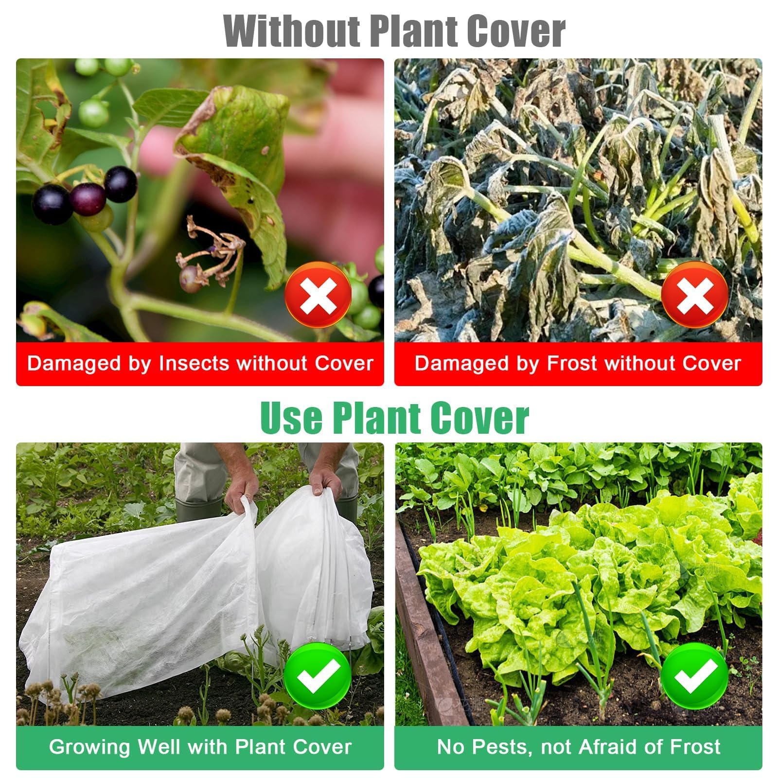 Couverture Végétale Pour Rangées De Jardin, Couverture Végétale Pour