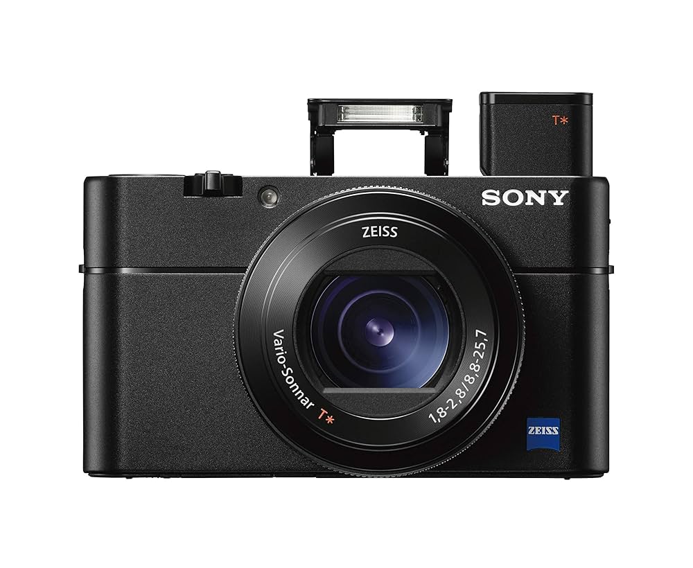 sony RX100 Ⅴ(5) 傷有り　完動品 sony RX100 Ⅴ(5) 傷有り 完動品 sony RX100 Ⅴ(5) 傷有り 完