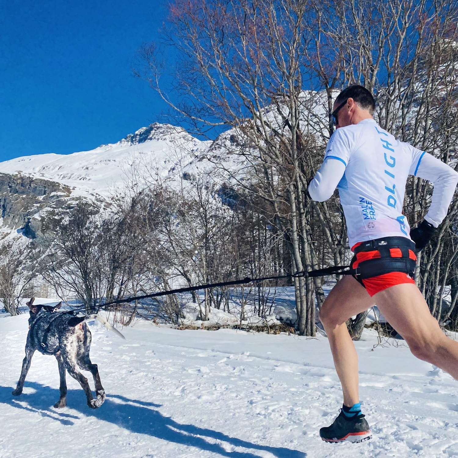 Longe de Traction pour Chien Gamme RAIDLIGHT,190 cm (étirée), Noir canicross, canirando, canijogging, canitrail, Utilisation Intense Sportive ou Loisirs, I-dog Marque Française.