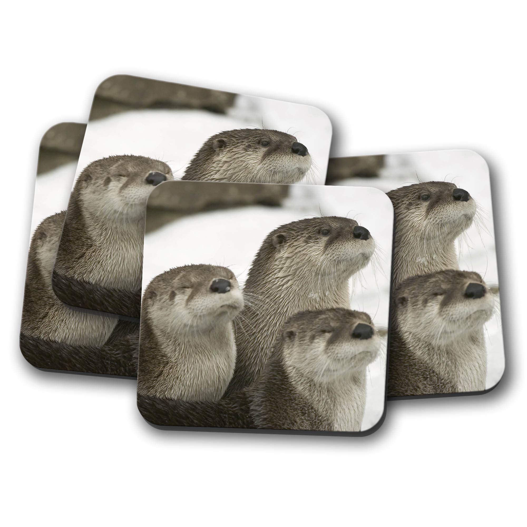 Destinationvinyl Multicolor 4 Set - Cute Otters Coaster - Marine Wild Animal Sea Beautiful #8534