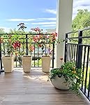 Review Image by The Baffled Bride