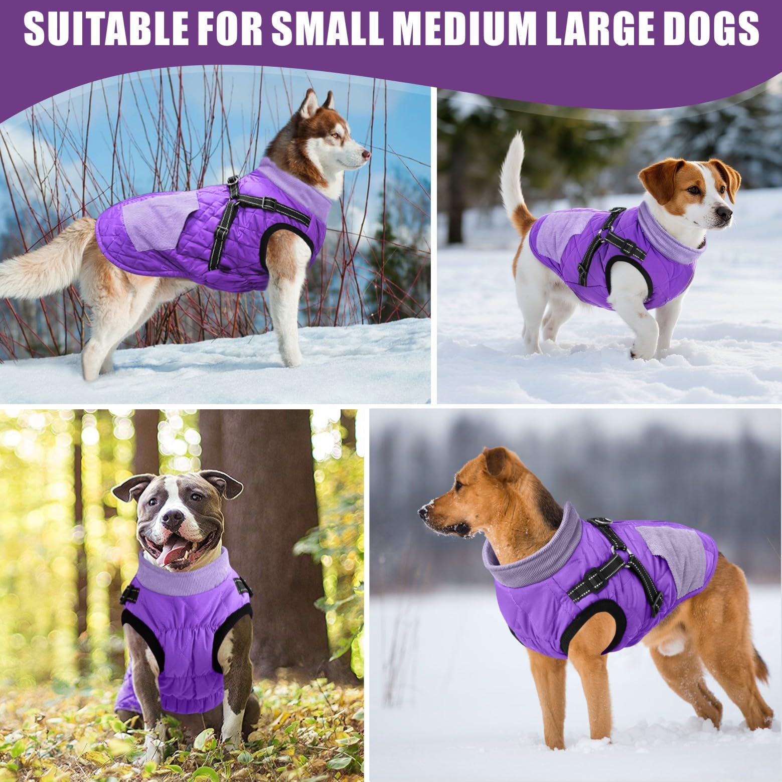Cappottini caldi per cani e animali domestici, impermeabili, riflettenti, per l’inverno e la neve, per cani di taglia piccola, media e grande (viola, XL)