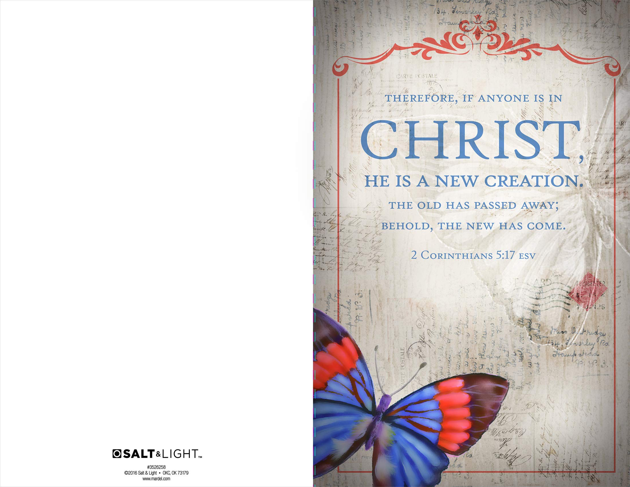 New Creation Church Bulletins Package of 100 - Welcome The Congregation, Share Church Information and Services On Quality Church Bulletin Paper - General Worship Bulletins - Image 2