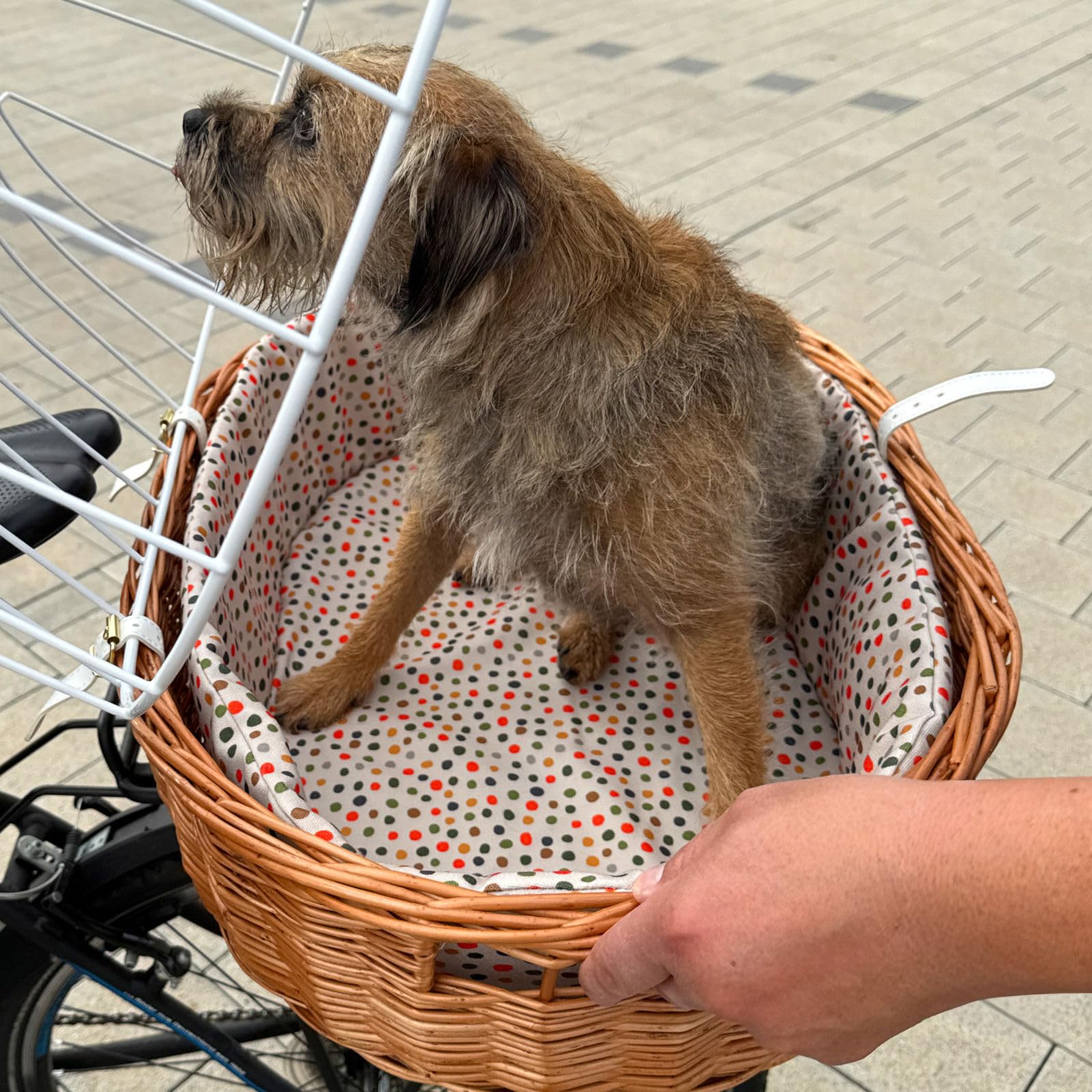 Aumüller Fahrrad-Tierkorb Gr. XL mit Polstereinlage, L: 68 cm - Gepäckträgermontage