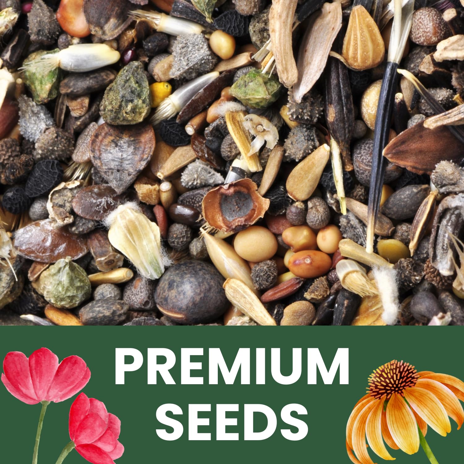 Perennial Species Mix - Paquete grande de 1 onza - 15,000 semillas de flores para plantar - Mezcla de flores silvestres 5