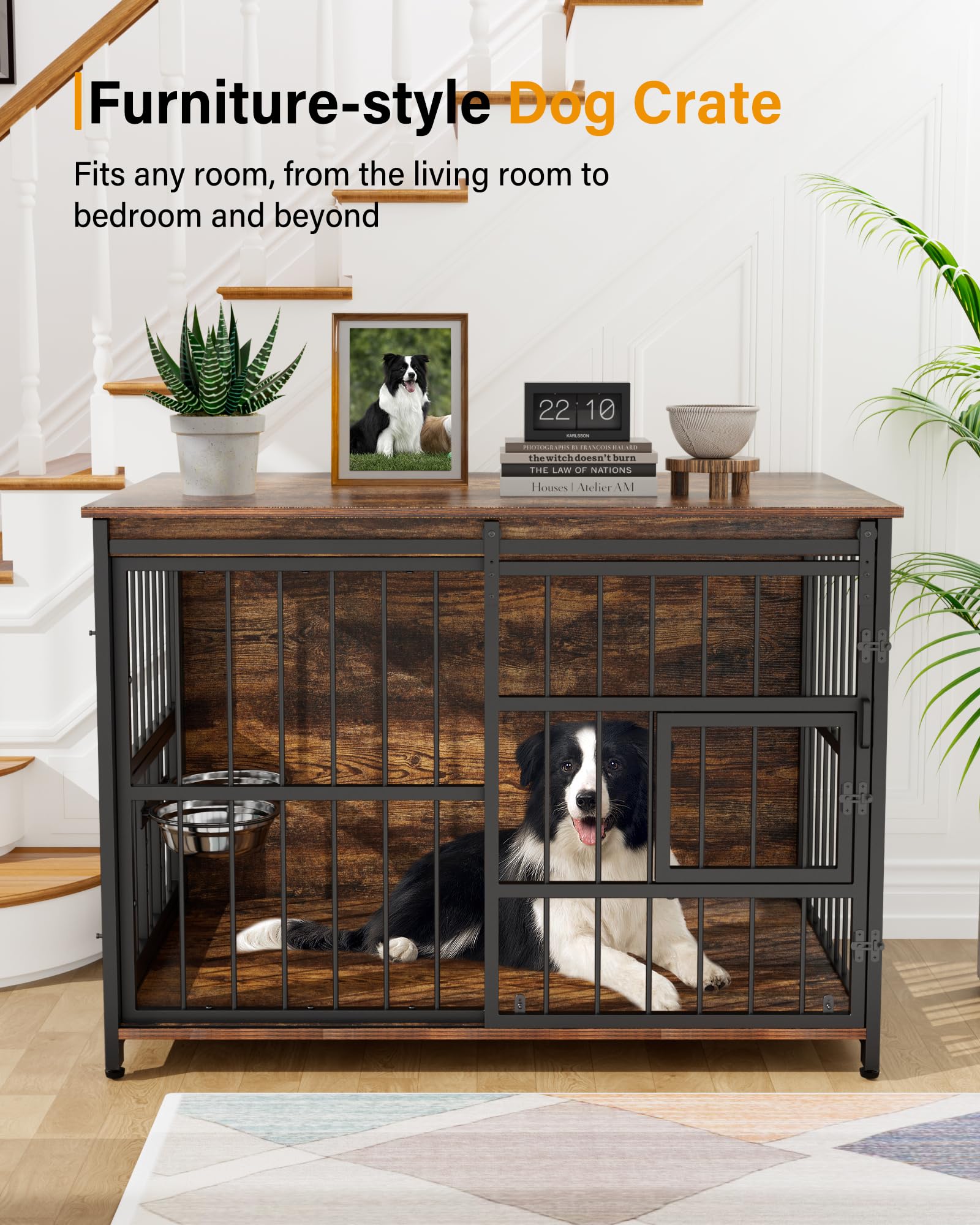 https://m.media-amazon.com/images/I/81wQlM39cfL.jpg