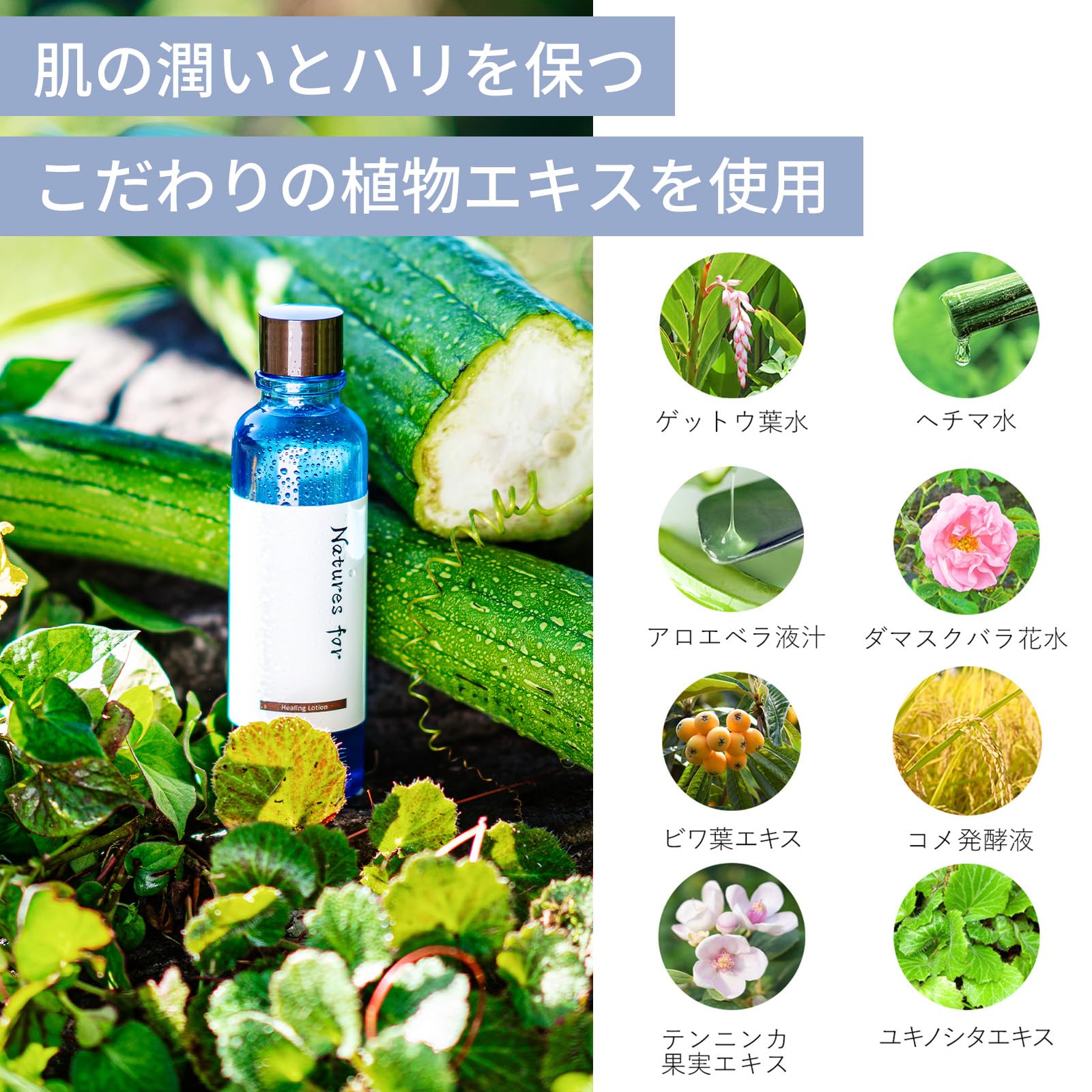 Amazon.co.jp: オーガニックスキンケア Natures for