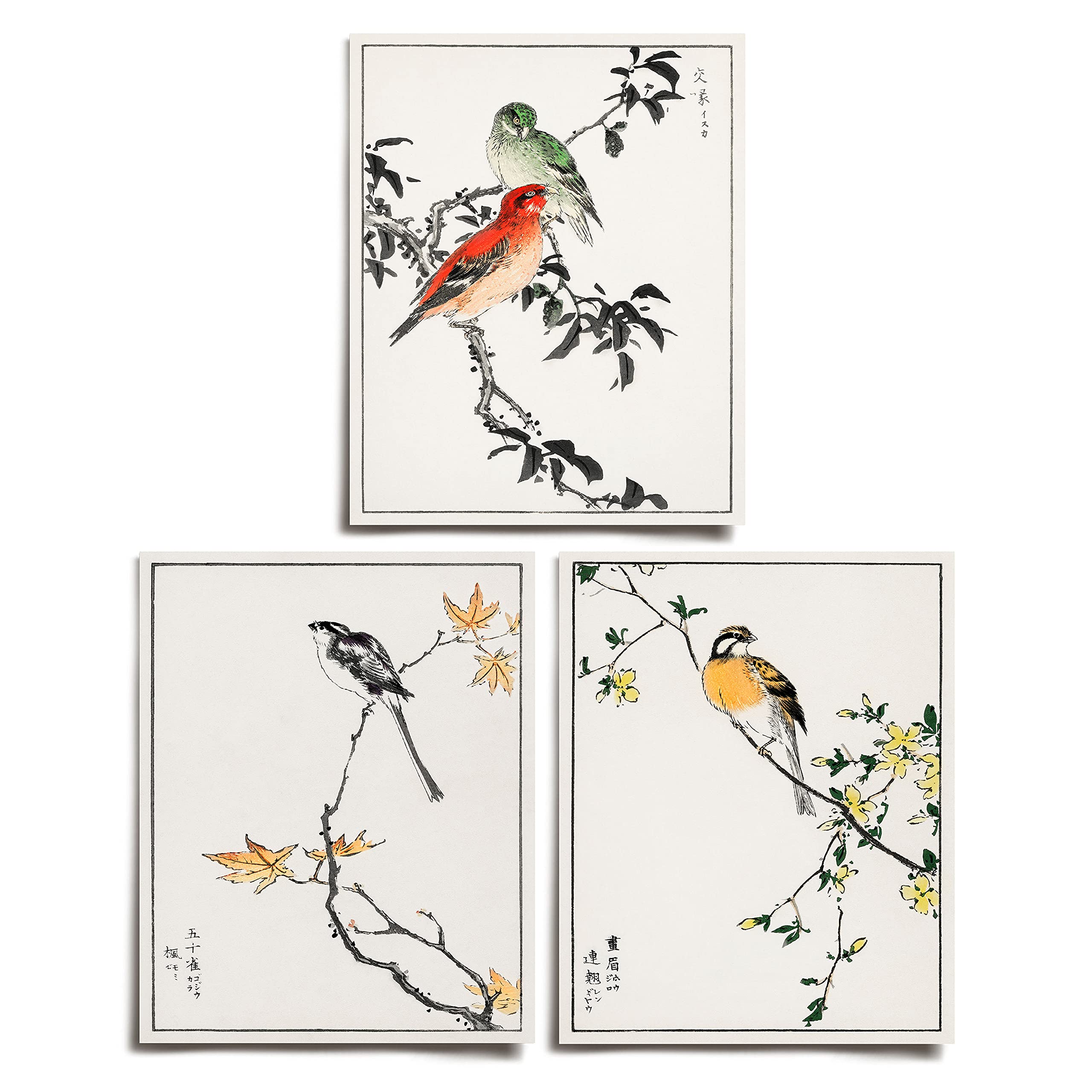 Japanese Bird Tree Vintage Prints 3 Modern Wall Art Victorian