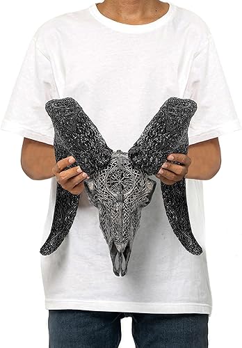 Vista 74 de Skull Bliss - Calavera de carnero de taxidermia auténtica tallada a mano con cuernos/decoración del hogar de cráneo de carnero genuino/decoraciones