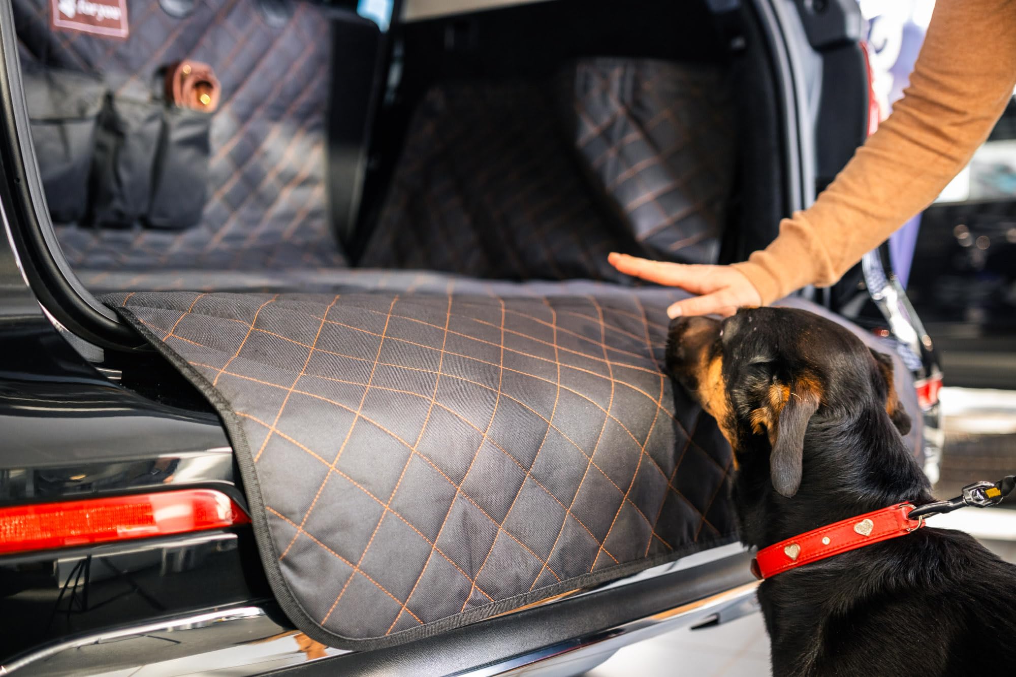 foryou® Boot Protector with Bumper Protection Including Dog Mat - Universal Boot Protection Mat for Dogs Water-Repellent - Scratch-Resistant Car Blanket, Premium Quality Made in Germany