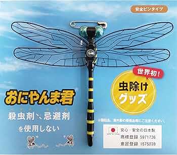 81wR5p77z1L._AC_UF350,